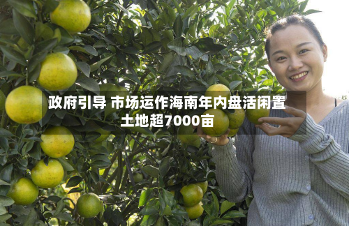 政府引导 市场运作海南年内盘活闲置土地超7000亩-第1张图片