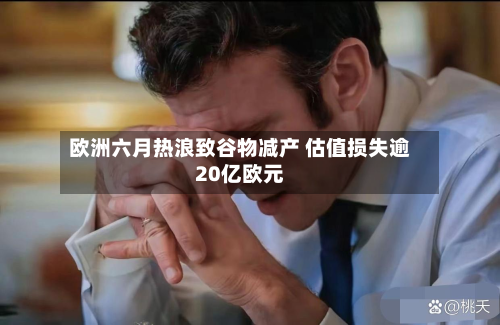 欧洲六月热浪致谷物减产 估值损失逾20亿欧元-第1张图片