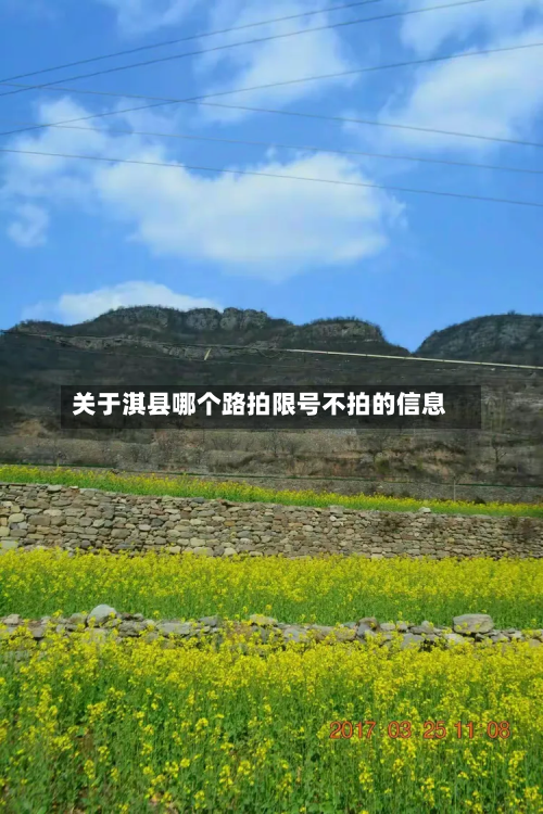 关于淇县哪个路拍限号不拍的信息-第1张图片
