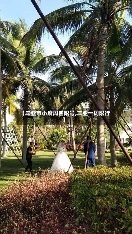 【三亚市小度周四限号,三亚一周限行】-第1张图片