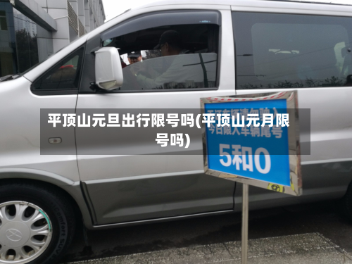 平顶山元旦出行限号吗(平顶山元月限号吗)-第1张图片