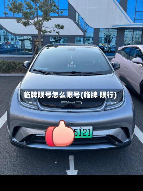 临牌限号怎么限号(临牌 限行)-第1张图片