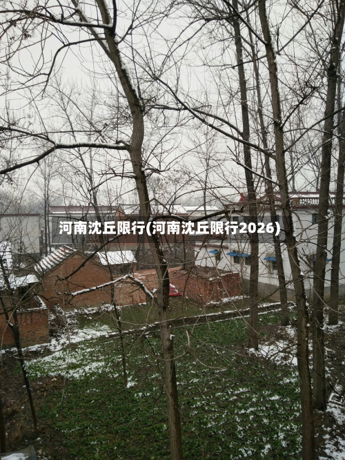 河南沈丘限行(河南沈丘限行2026)-第1张图片