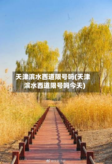 天津滨水西道限号吗(天津滨水西道限号吗今天)-第1张图片
