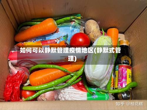 如何可以静默管理疫情地区(静默式管理)-第1张图片