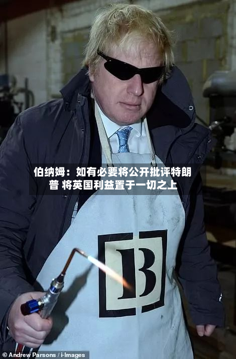 伯纳姆:如有必要将公开批评特朗普 将英国利益置于一切之上-第1张图片