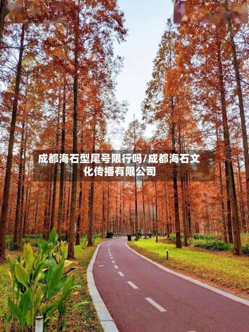 成都海石型尾号限行吗/成都海石文化传播有限公司-第1张图片