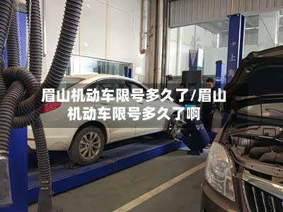 眉山机动车限号多久了/眉山机动车限号多久了啊-第1张图片