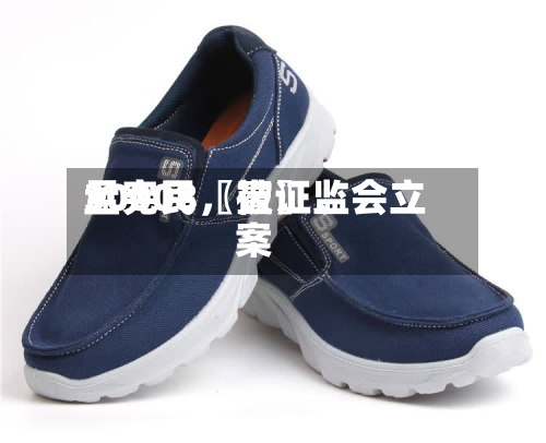 30008〖壹〗、孟宪民，被 *** 立案