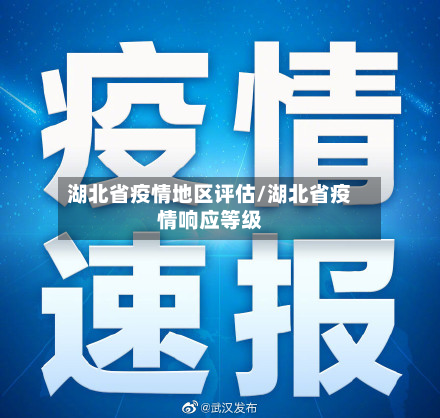 湖北省疫情地区评估/湖北省疫情响应等级-第1张图片