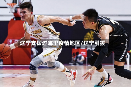 辽宁支援过哪里疫情地区/辽宁引援-第1张图片