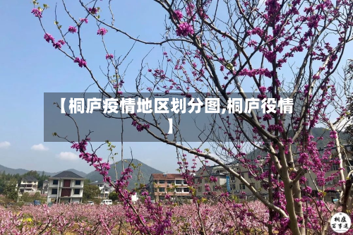 【桐庐疫情地区划分图,桐庐役情】-第1张图片