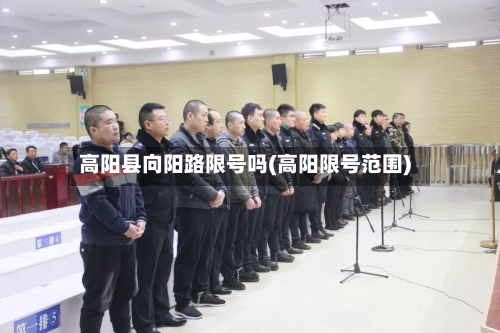高阳县向阳路限号吗(高阳限号范围)-第1张图片