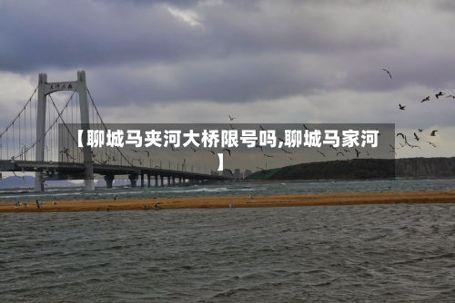 【聊城马夹河大桥限号吗,聊城马家河】-第1张图片