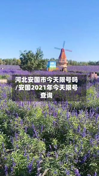河北安国市今天限号吗/安国2021年今天限号查询-第1张图片