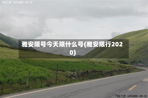 雅安限号今天限什么号(雅安限行2020)-第1张图片