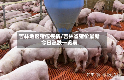 吉林地区猪瘟疫情/吉林省猪价最新今日涨跌一览表-第1张图片