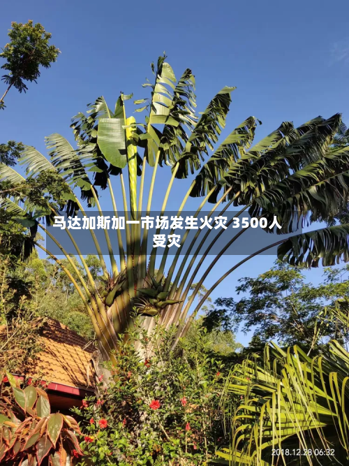 马达加斯加一市场发生火灾 3500人受灾-第1张图片