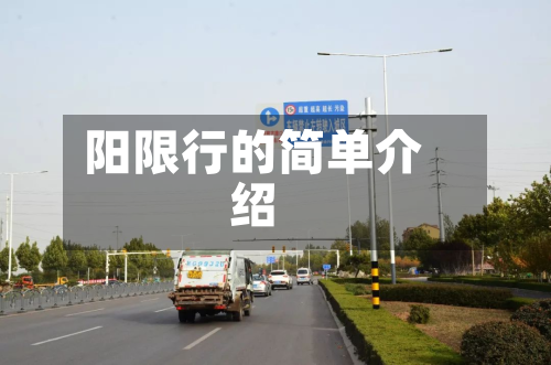 阳限行的简单介绍-第1张图片