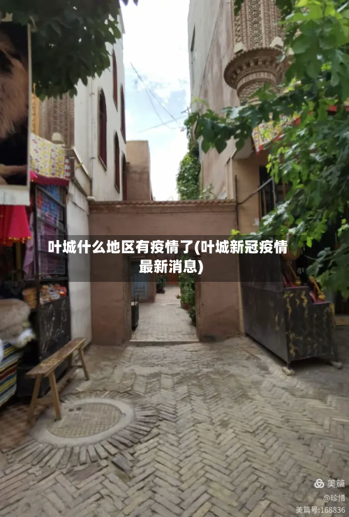 叶城什么地区有疫情了(叶城新冠疫情最新消息)-第1张图片
