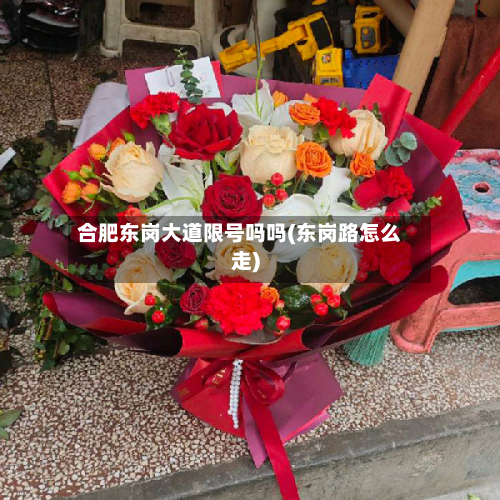 合肥东岗大道限号吗吗(东岗路怎么走)-第1张图片