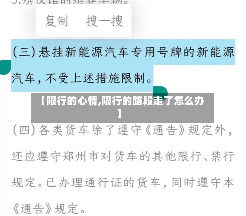 【限行的心情,限行的路段走了怎么办】-第1张图片