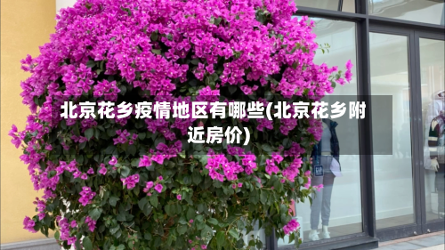 北京花乡疫情地区有哪些(北京花乡附近房价)-第1张图片