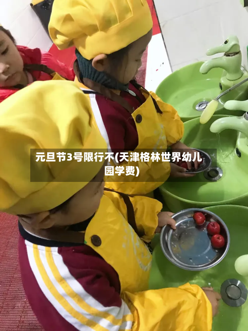 元旦节3号限行不(天津格林世界幼儿园学费)-第1张图片