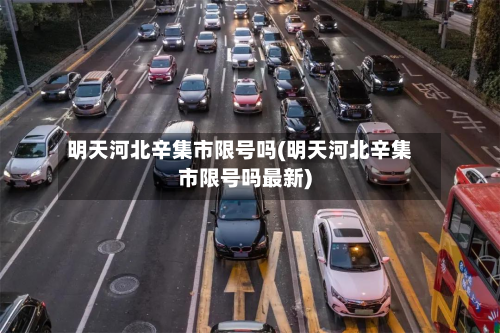 明天河北辛集市限号吗(明天河北辛集市限号吗最新)-第1张图片