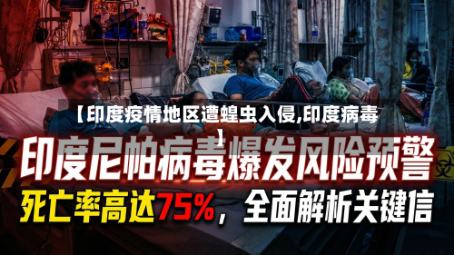 【印度疫情地区遭蝗虫入侵,印度病毒】-第1张图片