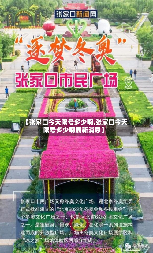 【张家口今天限号多少啊,张家口今天限号多少啊最新消息】-第1张图片