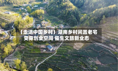 (走进中国乡村)湖南乡村闲置老宅变身创业空间 催生文旅新业态-第1张图片