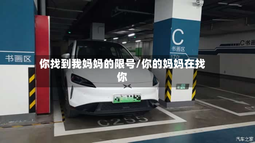 你找到我妈妈的限号/你的妈妈在找你-第1张图片