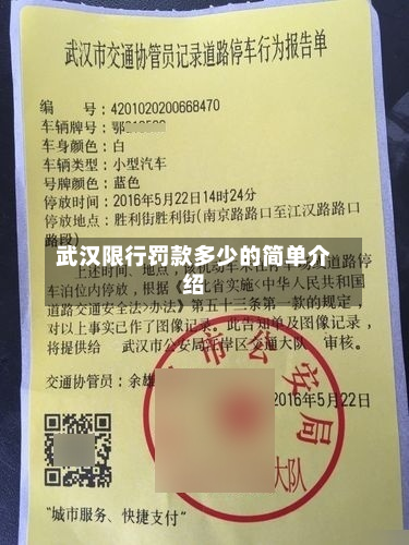 武汉限行罚款多少的简单介绍-第1张图片