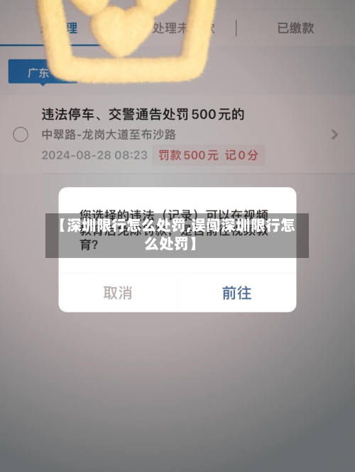【深圳限行怎么处罚,误闯深圳限行怎么处罚】-第1张图片