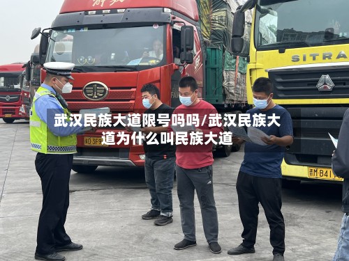 武汉民族大道限号吗吗/武汉民族大道为什么叫民族大道-第1张图片