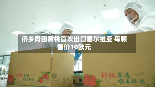 侨乡青田黄桃首次出口塞尔维亚 每颗售价10欧元-第1张图片
