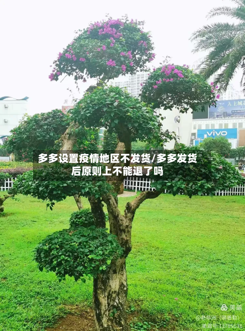 多多设置疫情地区不发货/多多发货后原则上不能退了吗-第1张图片