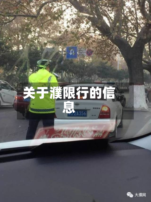 关于濮限行的信息-第1张图片
