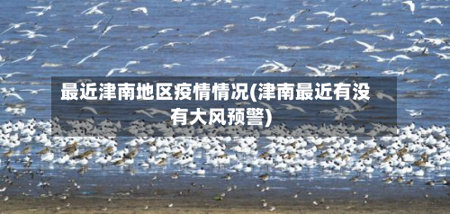 最近津南地区疫情情况(津南最近有没有大风预警)-第1张图片