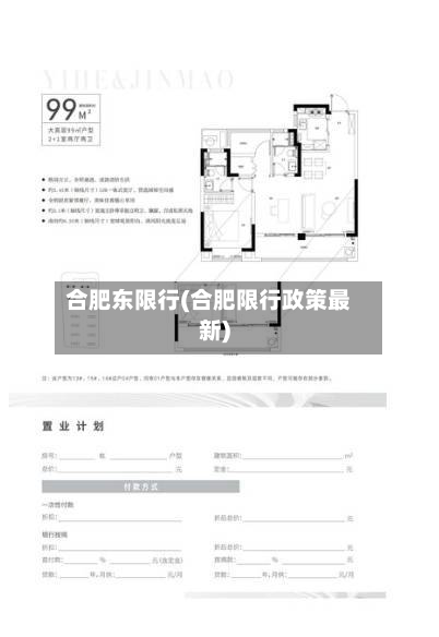 合肥东限行(合肥限行政策最新)-第1张图片