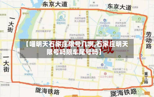 【喵明天石家庄限号几啊,石家庄明天限号吗限车尾号吗】-第1张图片