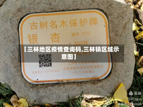 【三林地区疫情查询码,三林镇区域示意图】-第1张图片