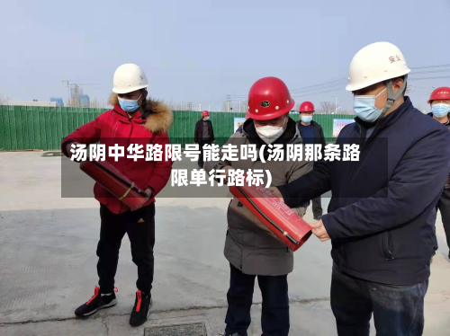 汤阴中华路限号能走吗(汤阴那条路限单行路标)-第1张图片