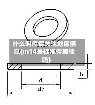 什么叫疫情关注地区信息(m14是标准件螺栓吗)-第1张图片