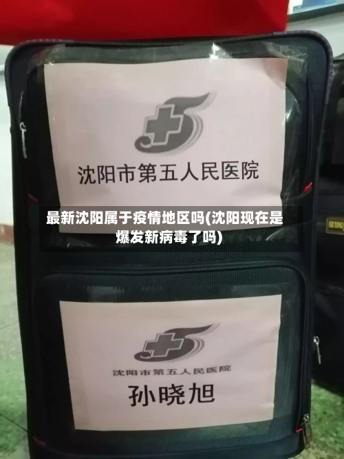 最新沈阳属于疫情地区吗(沈阳现在是爆发新病毒了吗)-第1张图片