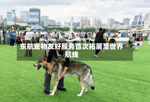东航宠物友好服务首次拓展至世界
航线-第1张图片