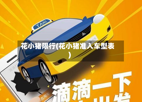 花小猪限行(花小猪准入车型表)-第1张图片