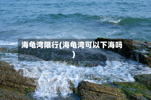 海龟湾限行(海龟湾可以下海吗)-第1张图片