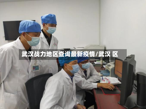 武汉战力地区查询最新疫情/武汉 区-第1张图片